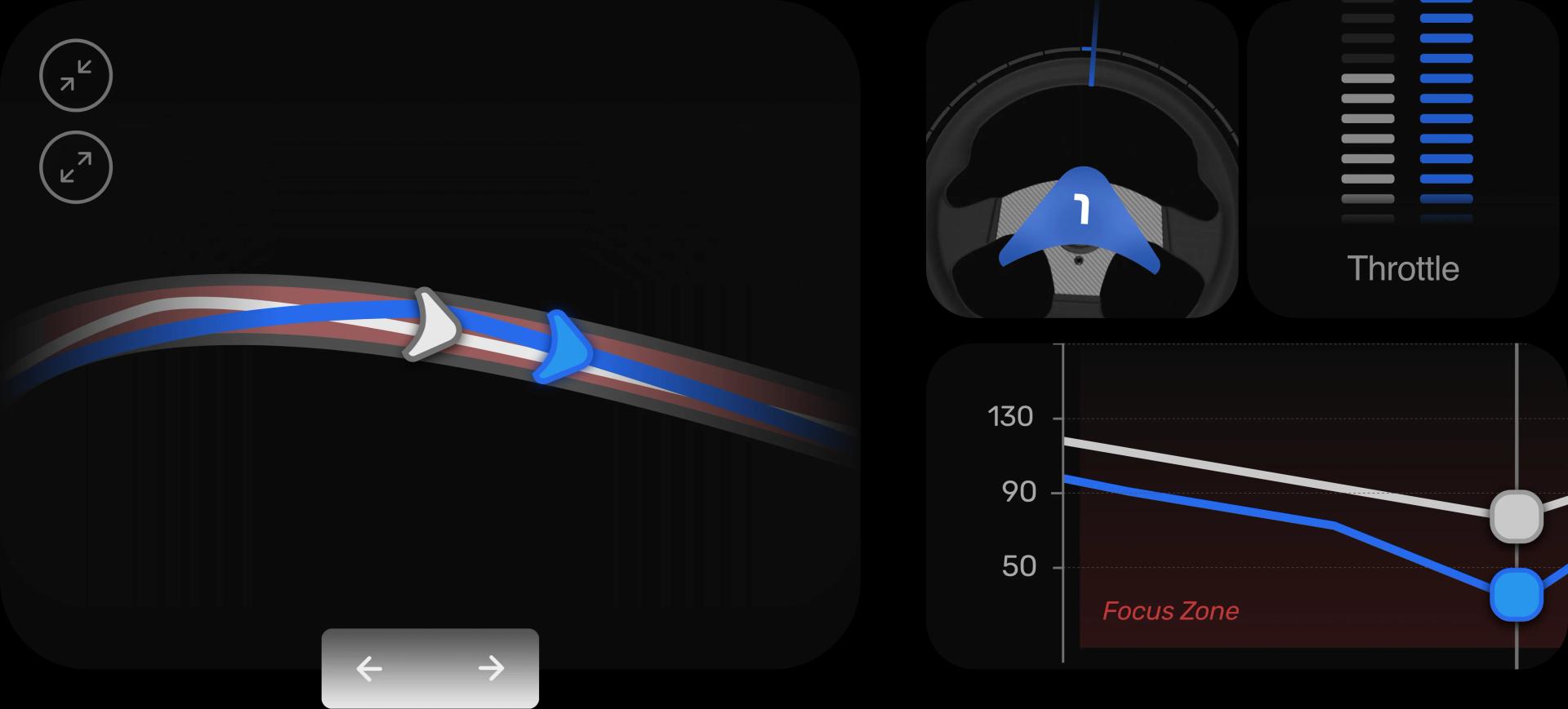 Race analysis image